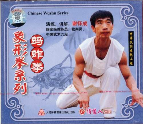 搏击才是真正的“武术”，中国传统武术应被视为一种哲学思想