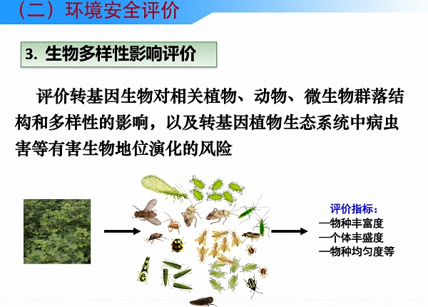 读图丨中国是怎么进行农业转基因生物安全管理的