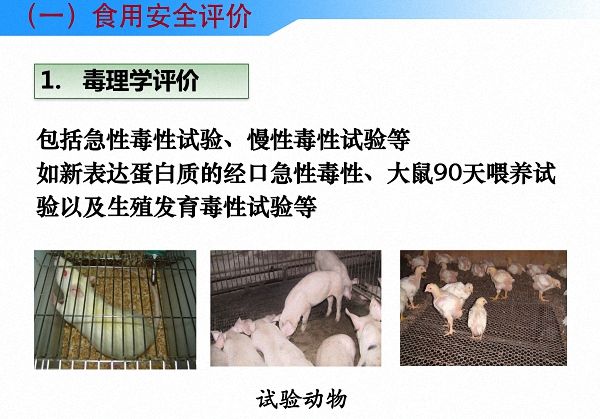 读图丨中国是怎么进行农业转基因生物安全管理的