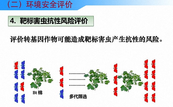 读图丨中国是怎么进行农业转基因生物安全管理的