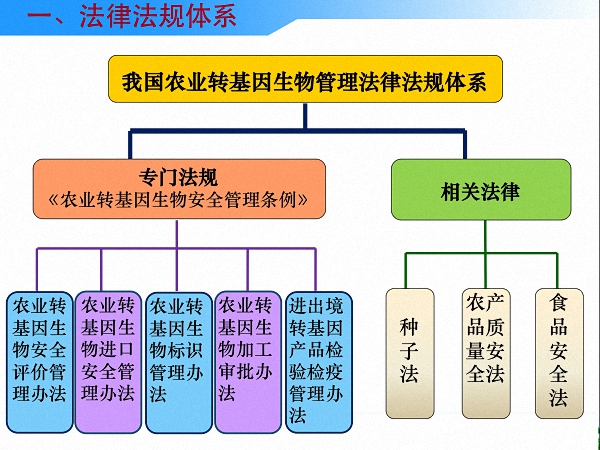 读图丨中国是怎么进行农业转基因生物安全管理的