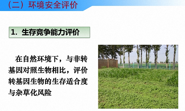 读图丨中国是怎么进行农业转基因生物安全管理的