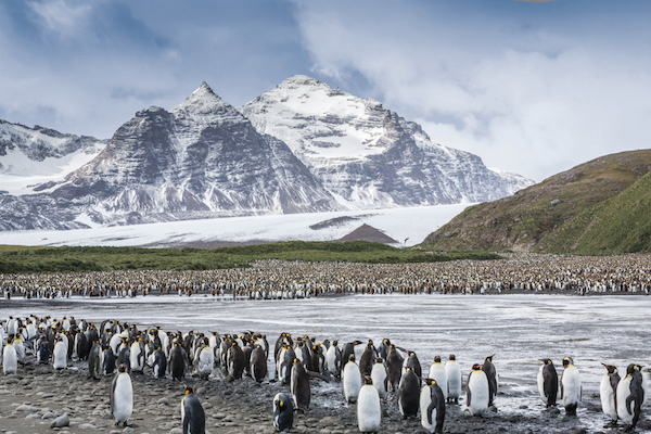 中国定制游市场迎来大玩家，个性化旅行不再是少数人专享