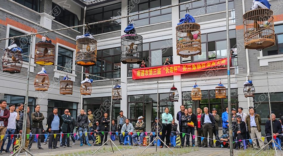 南通第三届长寿杯雀鸟大赛 百鸟过招好热闹   钱伟章摄 (1).jpg