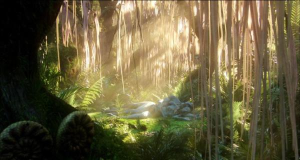 被《银河护卫队》中格鲁特萌到后，再来了解下文化史上的树人