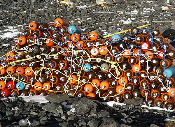 前方拥堵！珠峰5月进入攀登危险季，85岁老者命丧大本营