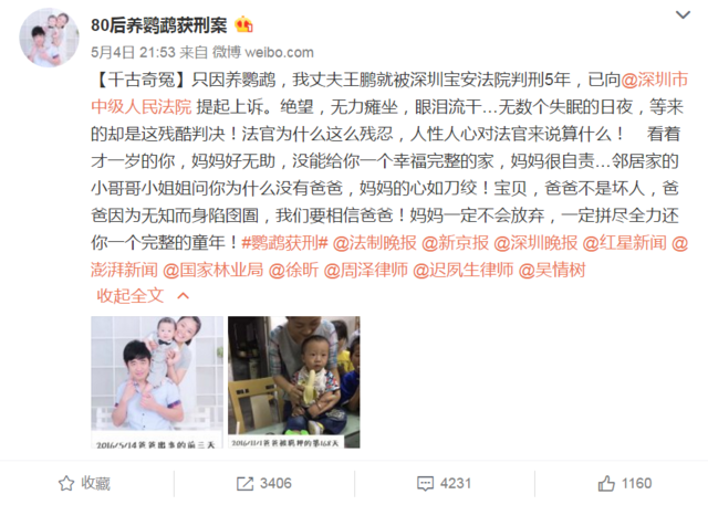 能人工繁殖，就不会影响野生种群？从鹦鹉案说起