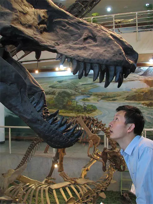 这只“大山鸡”可以帮我们解开恐龙演化成鸟的谜题