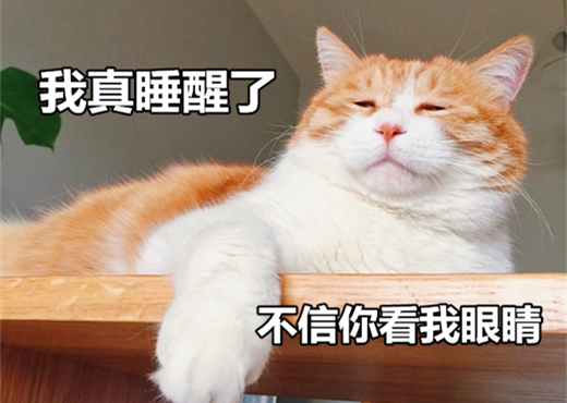 澎湃联播｜生命本就是一场奇迹，何须用“游戏”来决定胜负