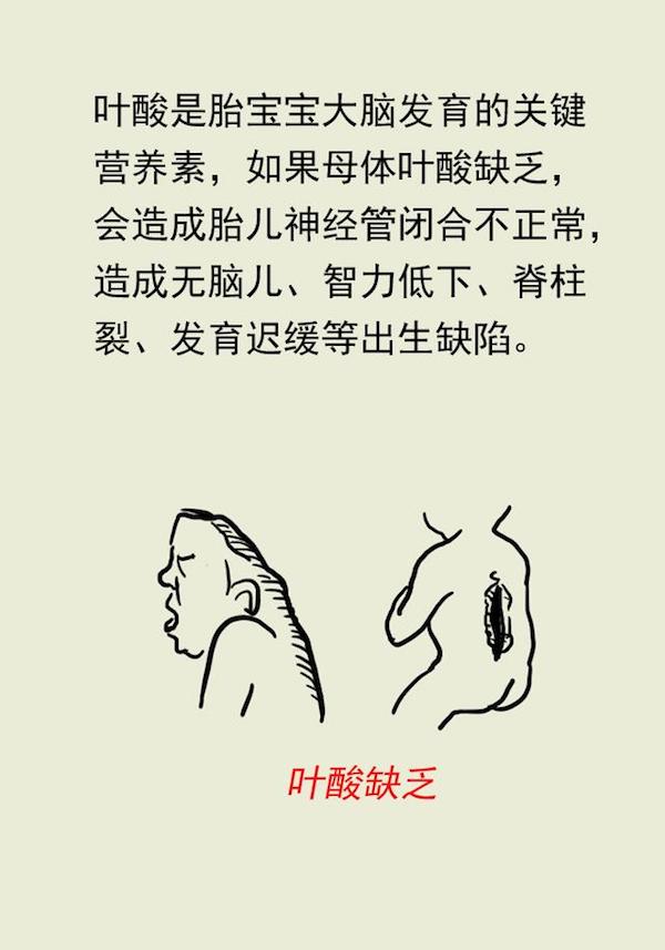 漫画｜叶酸应该怎么补充？协和专家教给你