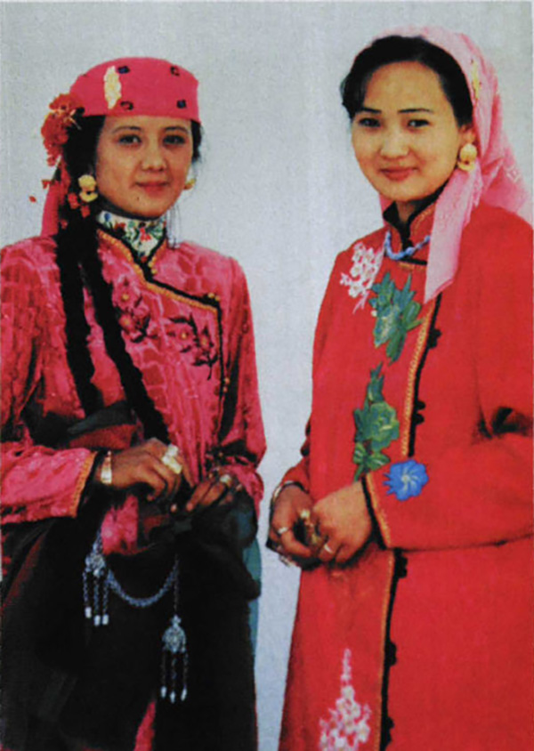 东干文学：汉语拼音化的奇葩