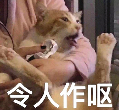 澎湃联播|看了太极pk橄榄球，我想拍一部《太极吧！儿子》