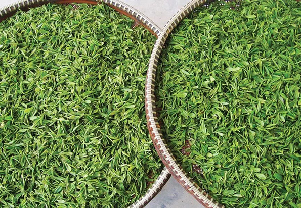 被低估的天台山：有佛，有瀑，有泉声，有隐逸山林