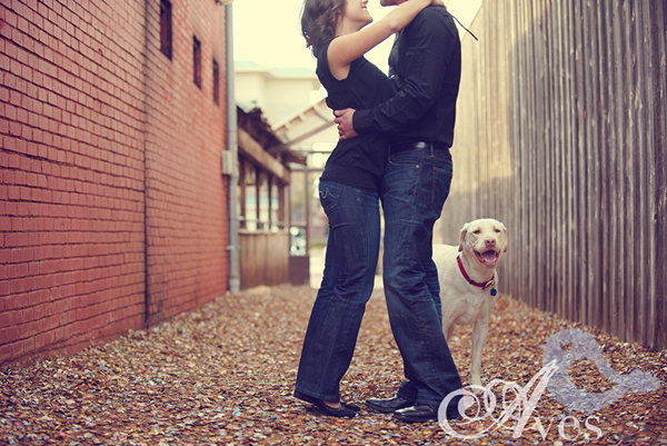 趣看｜瓶盖铺路也能成景点？米国有条瓶盖小巷