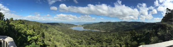 “毛利人是中国人！”：毛利人如何从台湾岛来到新西兰