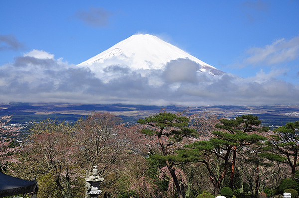 母亲节这天，我们来谈谈亲老旅行