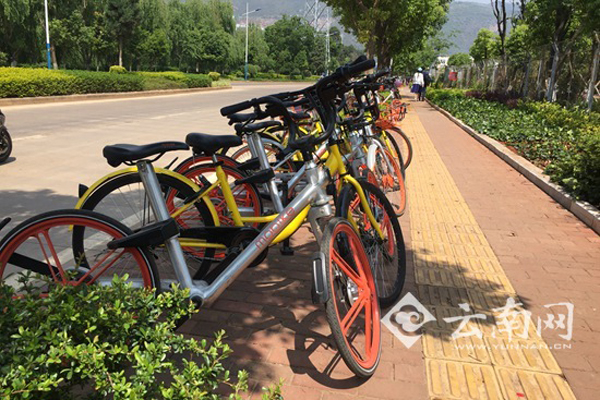 昆明共享单车新规将征求意见，政协委员建议设奖举报违规