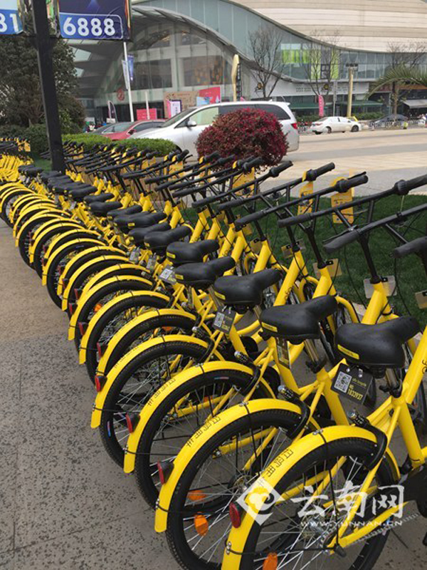 昆明共享单车新规将征求意见，政协委员建议设奖举报违规