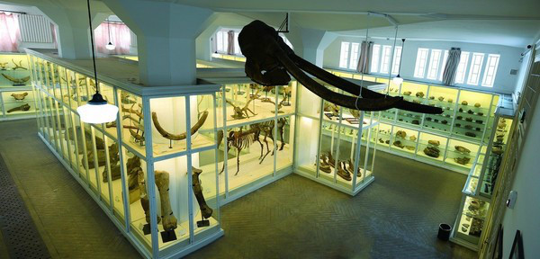 2016年度全国博物馆十大精品陈列即将揭晓，哪些值得关注