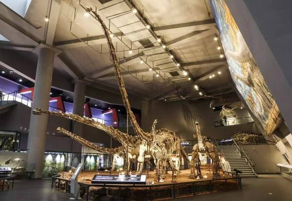 2016年度全国博物馆十大精品陈列即将揭晓，哪些值得关注