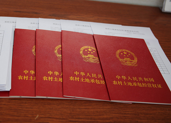 农村土地制度改革需坚持社会兜底的基本功能，不宜从物权思考