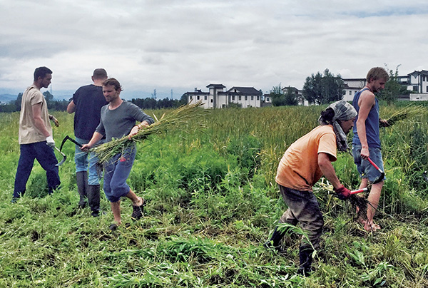 “绕三灵”，崇圣寺三塔，以及大理的隐形界限