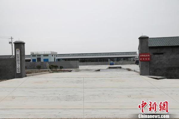 浙江宁波获准屠宰进境活牛，每年杀十万头每头能省8500元