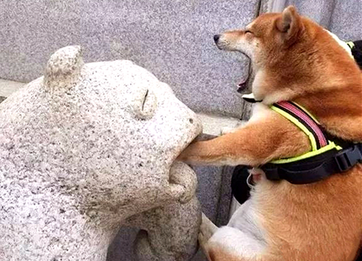 澎湃联播｜在孙悟空要揍红孩儿的那一刻，他就已经输了