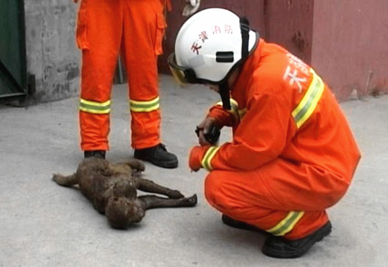 澎湃联播｜在孙悟空要揍红孩儿的那一刻，他就已经输了