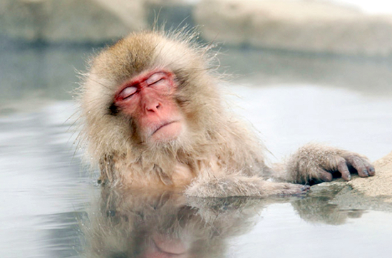 澎湃联播｜在孙悟空要揍红孩儿的那一刻，他就已经输了