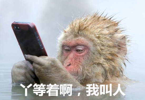 澎湃联播｜在孙悟空要揍红孩儿的那一刻，他就已经输了