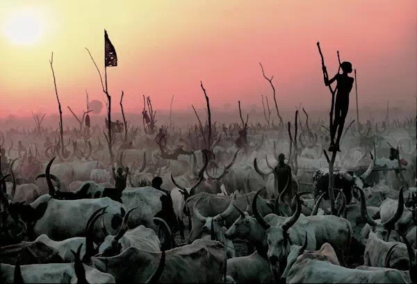 南苏丹，脆弱乌托邦中的丁卡人