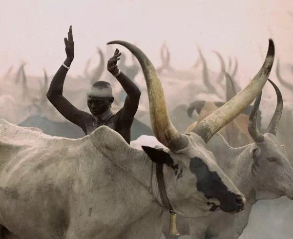 南苏丹，脆弱乌托邦中的丁卡人