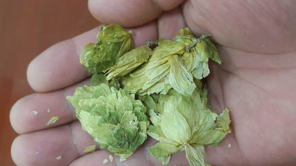 他不喜欢喝酒，却酿造出了多款中国顶级家酿啤酒