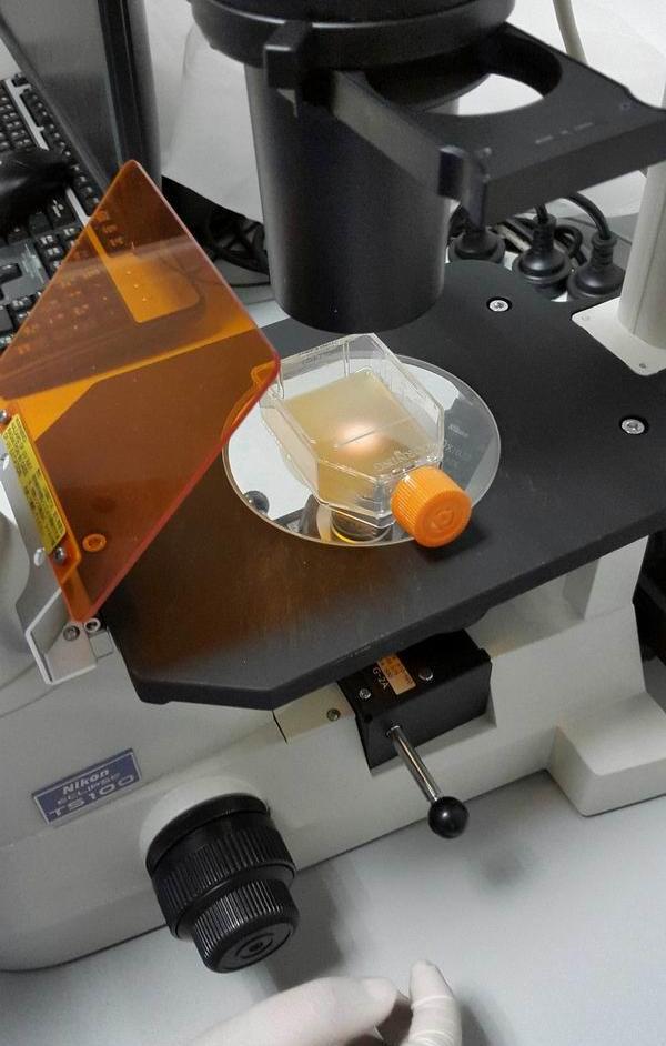 他不喜欢喝酒，却酿造出了多款中国顶级家酿啤酒