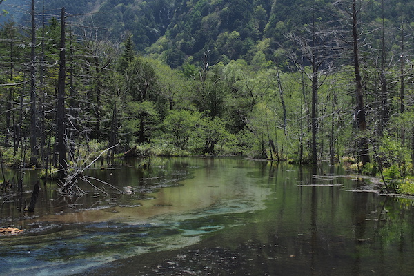 从歧阜到长野的火山温泉秘境