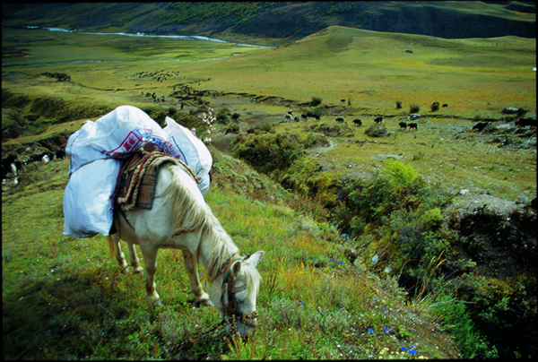 野路子 | 穿越格聂：从理塘到巴塘