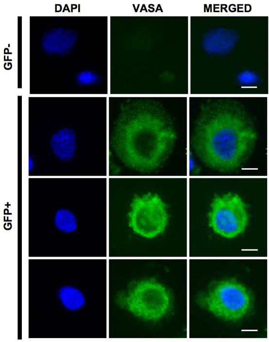 想在太空造人？只解决啪啪啪的问题可能还不够...