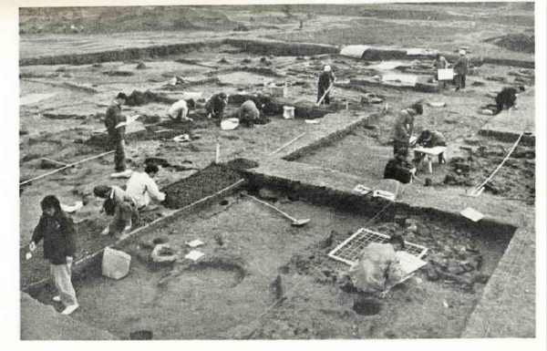 国际博物馆日︱半坡博物馆的展陈变迁：从说教到交流