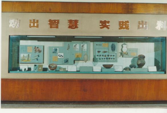 国际博物馆日︱半坡博物馆的展陈变迁：从说教到交流