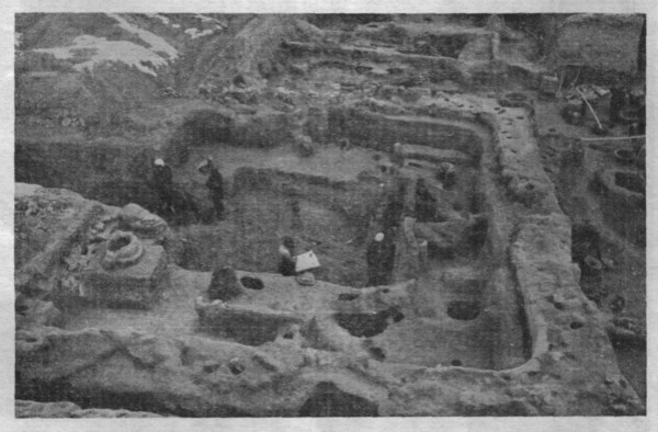 国际博物馆日︱半坡博物馆的展陈变迁：从说教到交流