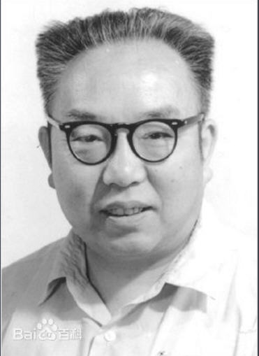 白鱀豚疑似重现，它会有朱鹮的好运么？