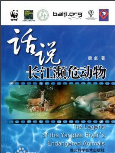 白鱀豚疑似重现，它会有朱鹮的好运么？