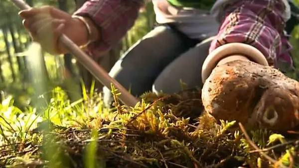 《舌尖上的中国》首次推出同款菜单