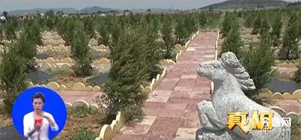 山东临沂沂水殡葬改革：首开先河费用全免，用经济手段除争议