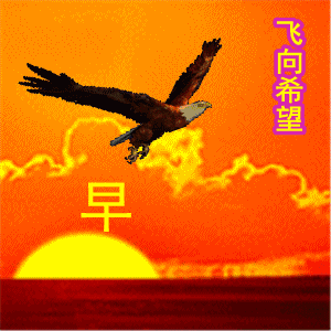 300_300gif 动态图 动图