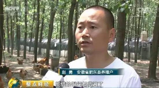 鸡蛋收购价每斤1.9元创二十年最低，养殖户贱卖母鸡