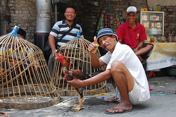 行脚印尼：众神遗落的珍珠，还是身材巨大的坏男友？