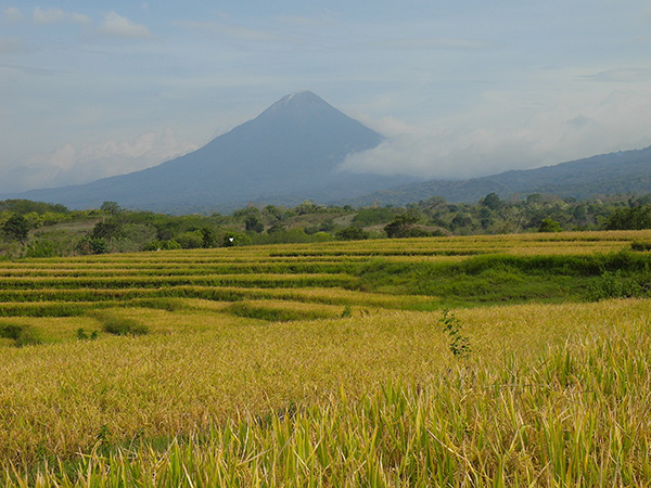 行脚印尼：众神遗落的珍珠，还是身材巨大的坏男友？
