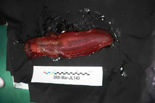 “蛟龙”号挑战世界最深处首潜告捷，最大下潜深度4811米